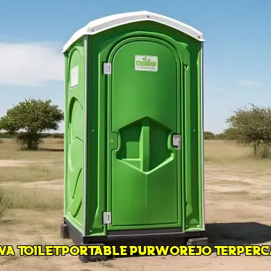 sewa toilet portable purworejo terpercaya
